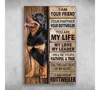 snowsun Letrero de metal con texto en inglés "I Am Your Friend I Am Your Rottweiler", letrero de perro vintage divertido retro de aluminio para el hogar, granja, jardín, garaje al aire libre, 8 x 12