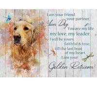 Snowsun Letrero de metal con texto en inglés "I Am Your Friend Your Partner Your Dog Golden Retriever", de aluminio, vintage, para decoración de pared del hogar, jardín, oficina, 8 x 12 pulgadas