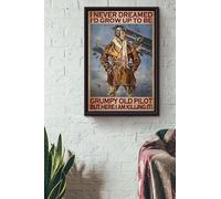 Snowsun Letrero de metal con texto en inglés "I Never Dreamed Id Grow Up To Be Grumpy Old Pilot But Here I Am Killing It", letrero vintage de aluminio retro para decoración de pared del hogar, jardín