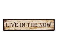 snowsun Letrero de metal con texto en inglés "Live in the Now", estilo retro, de aluminio, para cocina, hogar, jardín, pared, bar, cafetería, decoración de 4 x 16 pulgadas