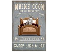 Snowsun Letrero de metal con texto en inglés "Maine Coon Bed and Breakfast Sleep Like A Cat", divertido letrero retro vintage de aluminio para el hogar, jardín, café, decoración de pared, letrero de
