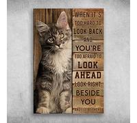 snowsun Letrero de metal con texto en inglés "Maine Coon Cat When It's Too Hard To Look Back And You'Re Too Afraid To Look Ahead", letrero vintage divertido retro de aluminio para el hogar, granja