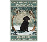 Snowsun Letrero de metal con texto en inglés "Once Upon A Time I Picked Up A Labrador Puppy And The Rest Is History Funny Retro Vintage Aluminum Sign for Home Garden Coffee Wall Decor Metal Tin Sign 8