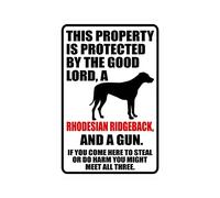 snowsun Letrero de metal con texto en inglés "Warning This Property Is Protected By The Good Lord A Rhodesian Ridgeback Dog And a Gun", letrero retro vintage de aluminio para cocina, cafetería, bar
