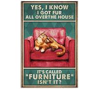 Snowsun Letrero de metal con texto en inglés "Yes I Know I Got Fur All Overthe House It'S Called Furniture Cat", divertido letrero de aluminio retro vintage para decoración de pared de hogar, jardín
