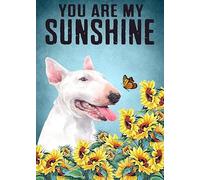 Snowsun Letrero de metal de Bull Terrier Girasol You are My Sunshine, divertido retro vintage, letrero de aluminio para hogar, jardín, café, decoración de pared, letrero de metal de 8 x 12 pulgadas