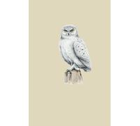 Snowy Owl: A5 5.83 x 8.27, 192 Pages, Lined, Writing Journal