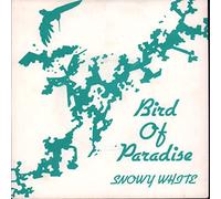 Snowy White - Bird Of Paradise