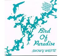 Snowy White - Bird Of Paradise