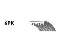 SNR CA6PK894 Correa trapecial poli V