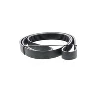 SNR Correa trapezoidal nervada para SKODA: Octavia & FORD: Focus, C-Max (Ref: CA6PK1520)