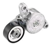 SNR GA35097 Polea Inversión para Correa Poli V