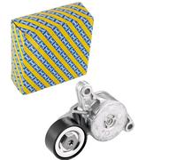 SNR GA35097 Polea Inversión para Correa Poli V