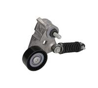 NTN-SNR Polea tensora GA352.59 - Correa poli V para FORD Mondeo/Transit/Tourneo, JAGUAR X-Type