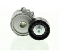 SNR Polea tensora, correa auxiliar servicios para CITROËN: Berlingo, Jumper, Relay, Jumpy, Xsara, Dispatch & FIAT: Ducato, Scudo (Ref: GA359.98)