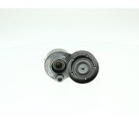 SNR Polea tensora, correa auxiliar servicios para NISSAN: Interstar, Primastar & RENAULT: Master, Laguna, Trafic & VOLVO: V40 (Ref: GA355.19)