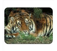 Snuggle - Alfombrilla de ratón, diseño de tigre