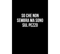 So che non sembra ma sono sul pezzo: Taccuino per appunti. Quaderno divertente per un collega, amico, amica.