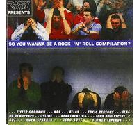 So You Wanna Be a Rock 'n' Roll Compilation