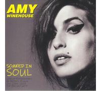 Soaked In Soul Live At Eurockéennes de Belfort, France, June 29th 2007 FM Broadcast [Vinilo]