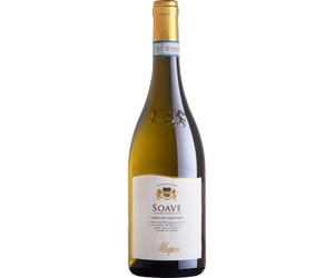 Soave Oasi San Giacomo 2025 - Allegrini