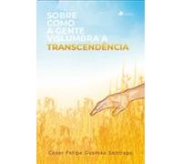 Sobre Como A Gente Vislumbra A Transcendência (ebook)