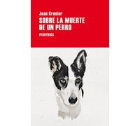 Sobre La Muerte De Un Perro
