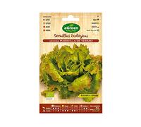 SOBRE SEMILLAS ECO LECHUGA MARAVILLA AGREEN