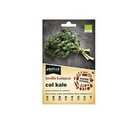 Sobre Semillas Kale "Super Foods" Eco 680011Bols Batlle