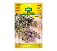 SOBRE SEMILLAS LAVANDA OFFICINALIS 301031BOLSH AGREEN