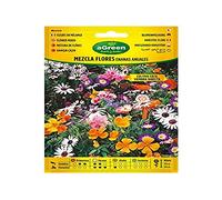 SOBRE SEMILLAS MEZCLA FLORES ENANAS ANUALES 300593BOLSH AGREEN