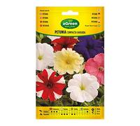 SOBRE SEMILLAS PETUNIA COMPACTA VARIADA 300678BOLSH AGREEN