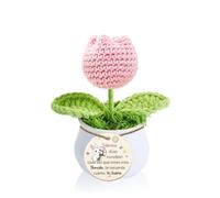 Sobrina Regalo de Graduación para Ganchillo Tulipán Rrosa Maceta Cumpleaños Inspirador Mi Niña Flor Hecha A Mano Tejida Mujer Navidad Apreciar Entrar Nuevo Trabajo Decoración del Hogar Adornos
