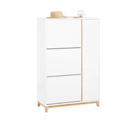 SoBuy Zapatero Estrecho con Solapas y Puerta - Mueble Zapatero Recibidor Blanco de Entrada - para 15-20 Pares de Zapatos - Ahorra Espacio - Fácil de Montar - 80x34x122cm FSR189-WN