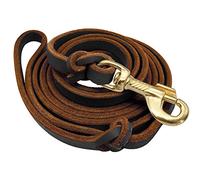 SOCHII Correa de cuero para perro para entrenamiento de mascotas, correa para correr para perros medianos y grandes, pastor alemán K9, 1,5 m/2,5 m de largo, marrón, 2,5 m