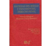 Sociedad Del Riesgo Y Expansión Del Derecho Penal.homenaje A La Profes