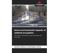 Socio-environmental impacts of wetland occupation