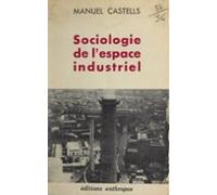 Sociologie De Lespace Industriel (ebook)