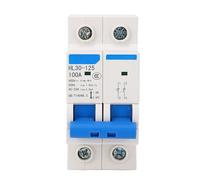 Socobeta Disyuntor de Interruptor Principal Confiable 2P para Uso Residencial, Interruptor Aislador 100A 400V HL30 125 con Material de PC Duradero