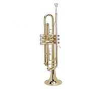 Socobeta Instrumento de Viento de Latón, Kit de Trompeta Estándar Bb Elegante, Soporte de Doble Barra para Estudiantes Principiantes y Juego de Limpieza (Bronce fosforado)
