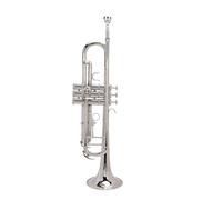 Socobeta Instrumento de Viento de Latón, Kit de Trompeta Estándar Bb Elegante, Soporte de Doble Barra para Estudiantes Principiantes y Juego de Limpieza (Plata)