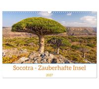 Socotra - Zauberhafte Insel (Wandkalender 2027 DIN A3 quer), CALVENDO Monatskale