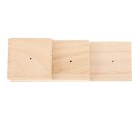 SOESFOUFU Soporte Material Sintético Resistente para Exhibir Muestras de Insectos Agujeros para Alfileres Adecuado para Uso Escolar y Experimental Personal