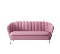 Sofá doble de estilo nórdico para dormitorio, apartamento pequeño o sala de estar, silla de salón de lujo ligera para tienda de ropa, sofá de 3 personas (41 x 50 cm)