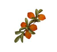 Sofisticado broche de cristal cítrico con detalles artesanales, pin de cristal cítrico para visitas a galería y reuniones sociales, broche de cristal sostenible, regalo