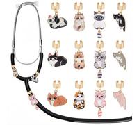 SOFPLATE 1 Caja de 12 Etiquetas de Estetoscopio para Enfermera, Accesorios para Estetoscopio, Dijes de Aleación con Nombre de Identificación Personalizado Ajustables para Gatos Y Mascotas, Esmaltados