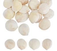 SOFPLATE 30 pieza de Concha de Vieira Decorativa, Conchas Marinas Naturales, para Fiesta, Color Blanco Antiguo, Tema de Playa de Verano, Animal Del Océano, Pequeño, Sin Agujero, Artesanía, Adorno para