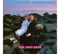 Soft Boys the - Underwater Moonlight