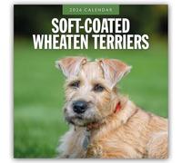 Soft-coated Wheaten Terriers 2026 Square Wall Calendar: Original Red Robin Publishing Ltd-Kalender [Mehrsprachig] [Kalender]