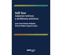 Soft law: Aspectos teóricos y problemas prácticos (Monografía jurídica)